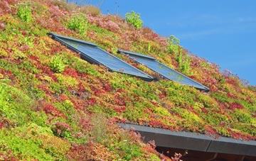 Seaton Burn living roof systems